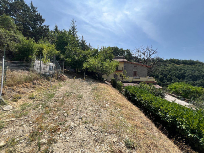  for sale in Gubbio