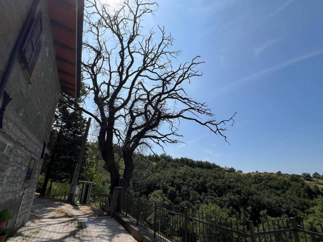  for sale in Gubbio
