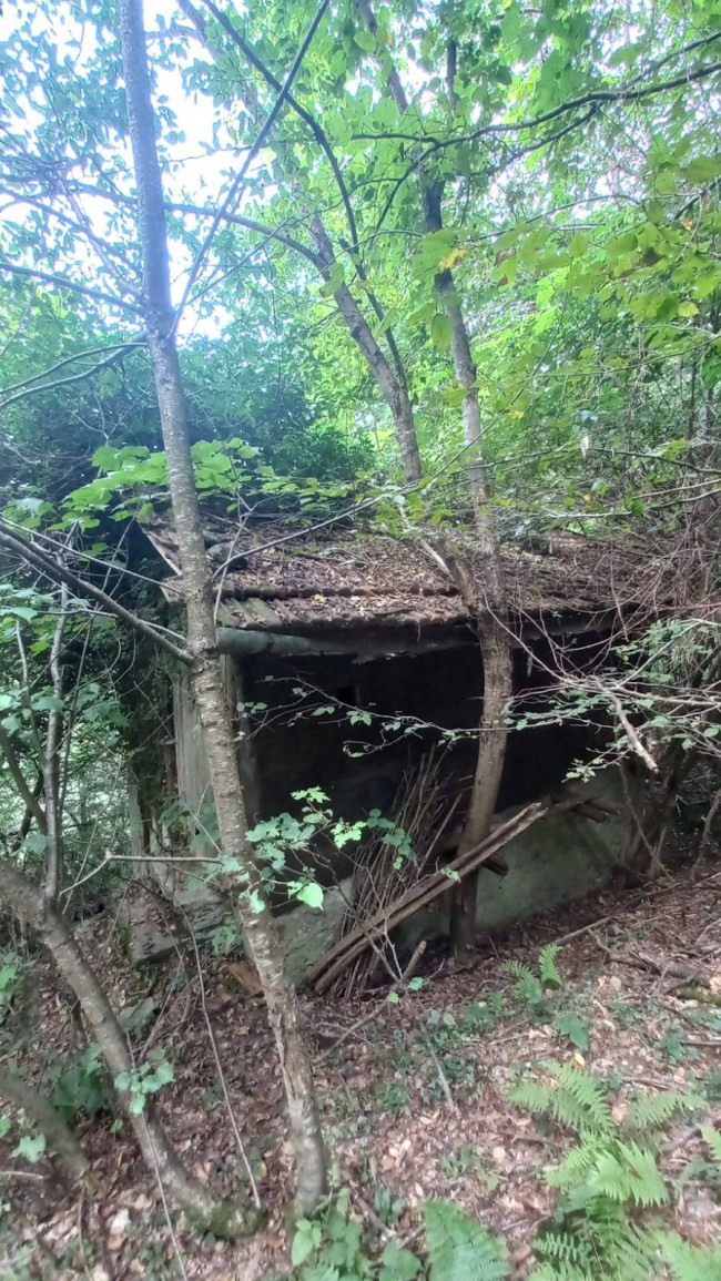 Terreno Agricolo in vendita a Cadegliano-Viconago