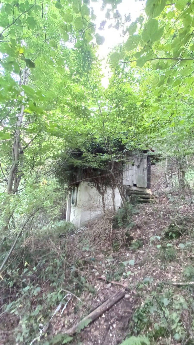 Terreno Agricolo in vendita a Cadegliano-Viconago