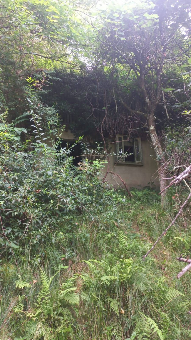 Terreno Agricolo in vendita a Cadegliano-Viconago