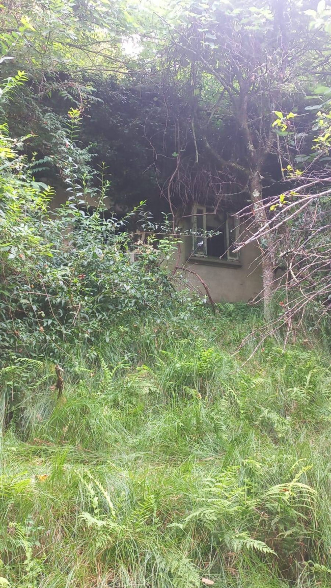 Terreno Agricolo in vendita a Cadegliano-Viconago