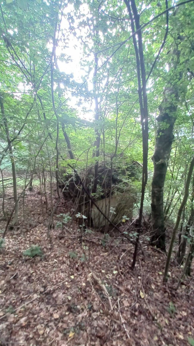 Terreno Agricolo in vendita a Cadegliano-Viconago