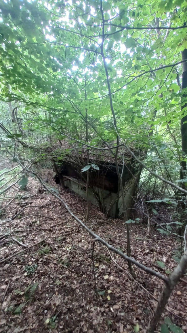 Terreno Agricolo in vendita a Cadegliano-Viconago