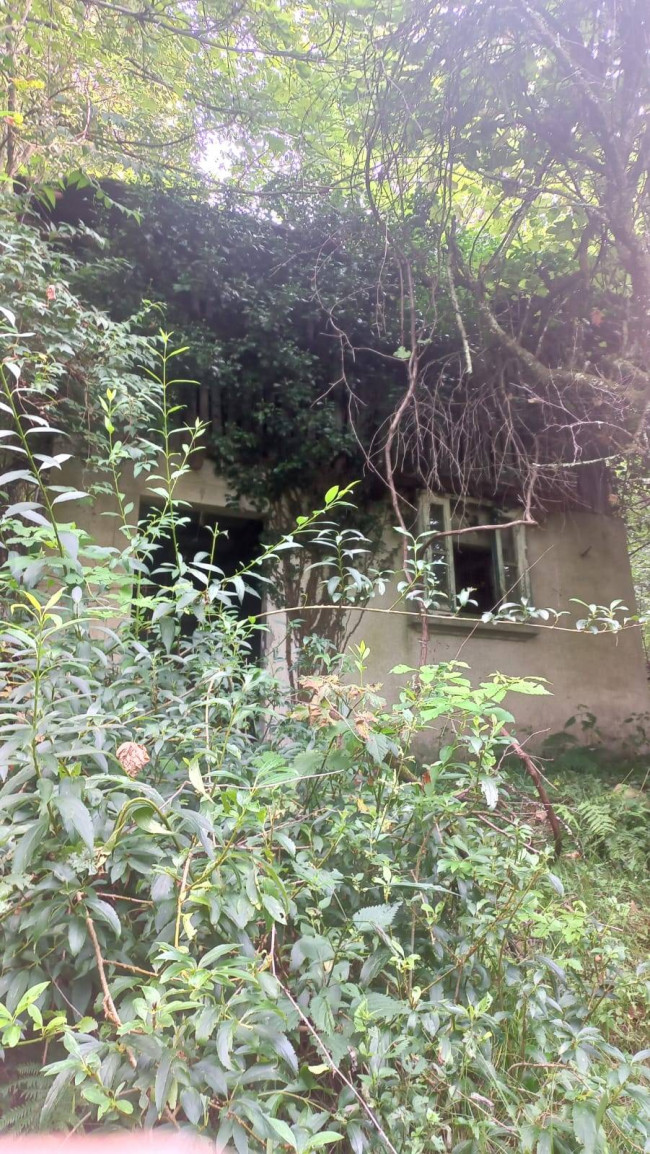 Terreno Agricolo in vendita a Cadegliano-Viconago