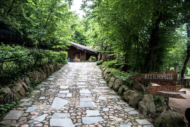 Attività commerciale in vendita a Valganna