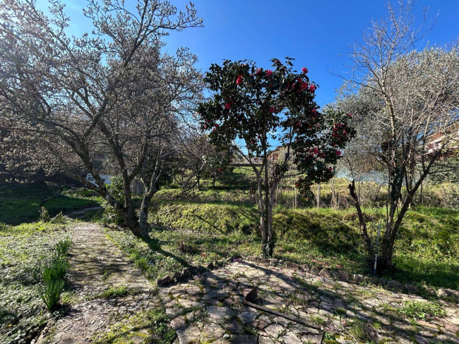 Villa in vendita a Follo