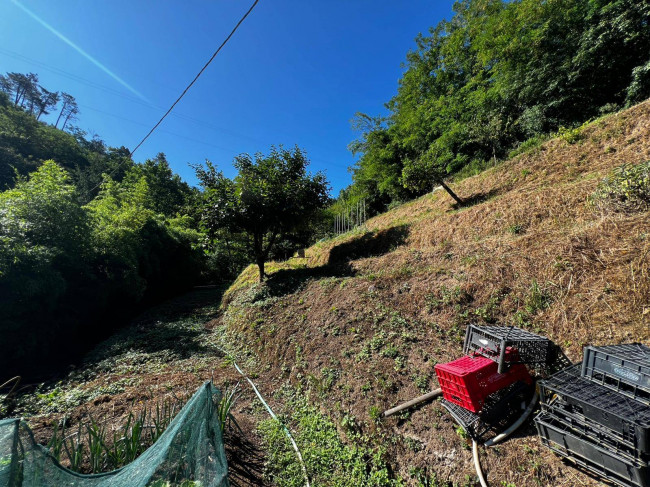 Villette a schiera in vendita a Vezzano Ligure