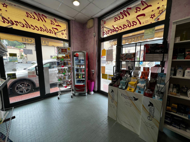 Attività commerciale in vendita a Vezzano Ligure