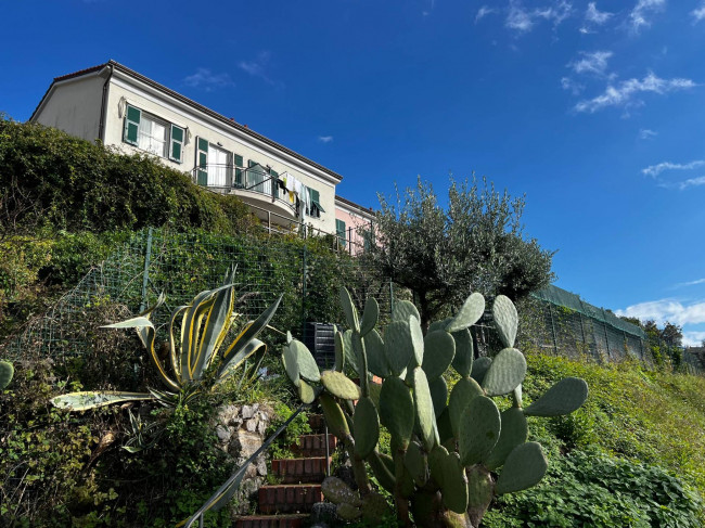 Villette a schiera in vendita a La Spezia