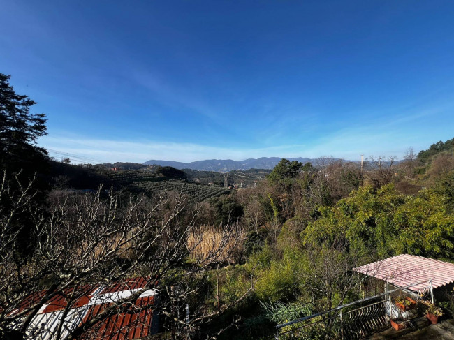 Bifamiliare in vendita a Arcola