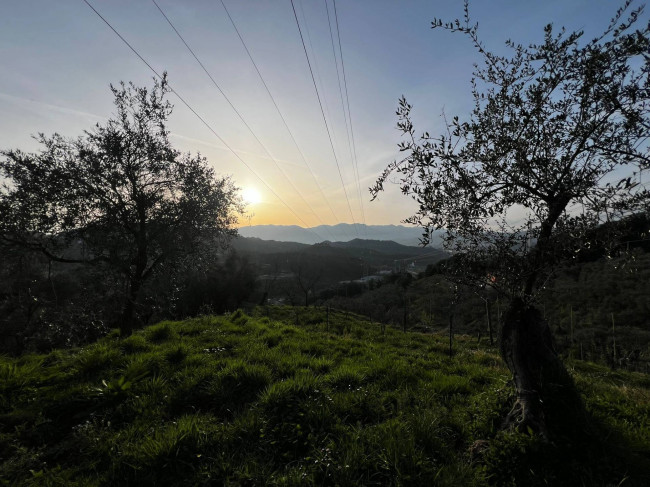 Villette a schiera in vendita a Arcola