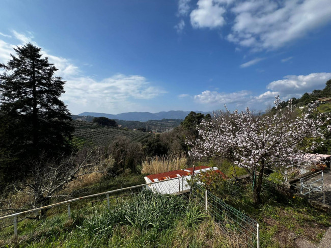 Appartamento in vendita a Arcola