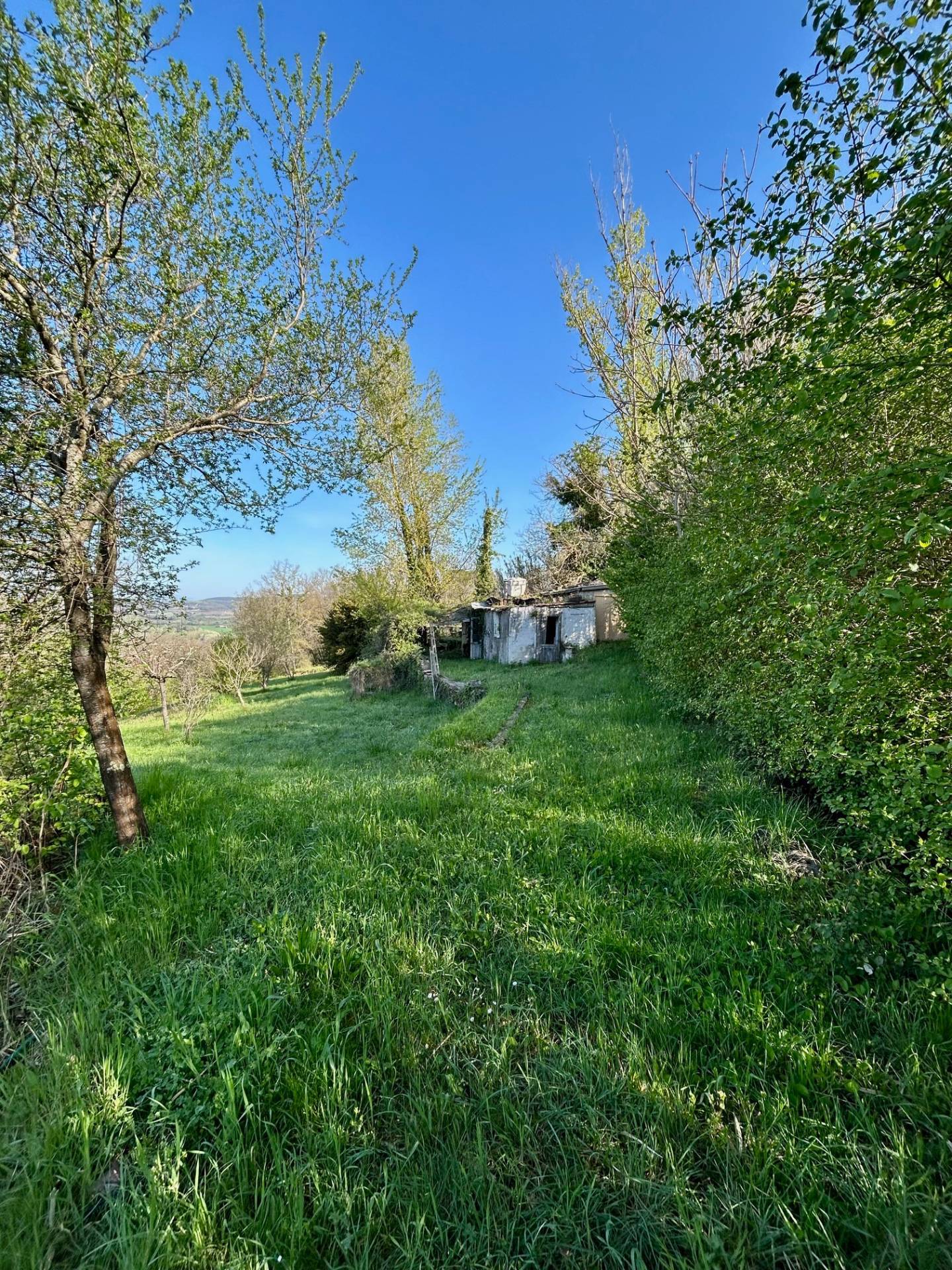 Rustico in vendita a Baschi