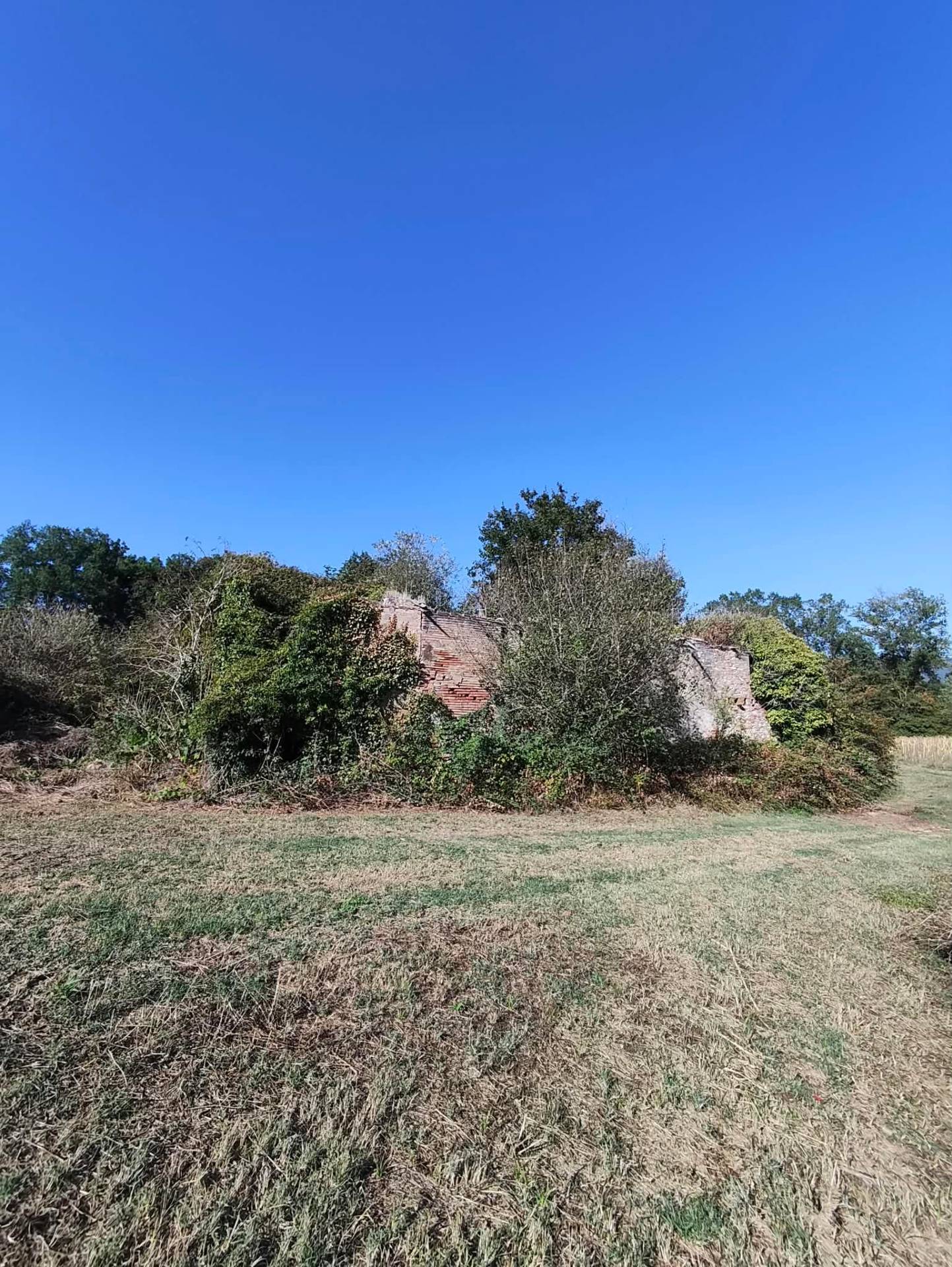 Rustico in vendita a Todi