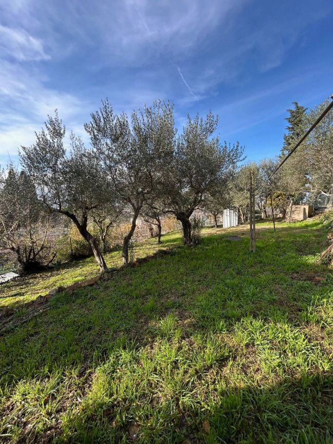 Casa singola in vendita a Todi