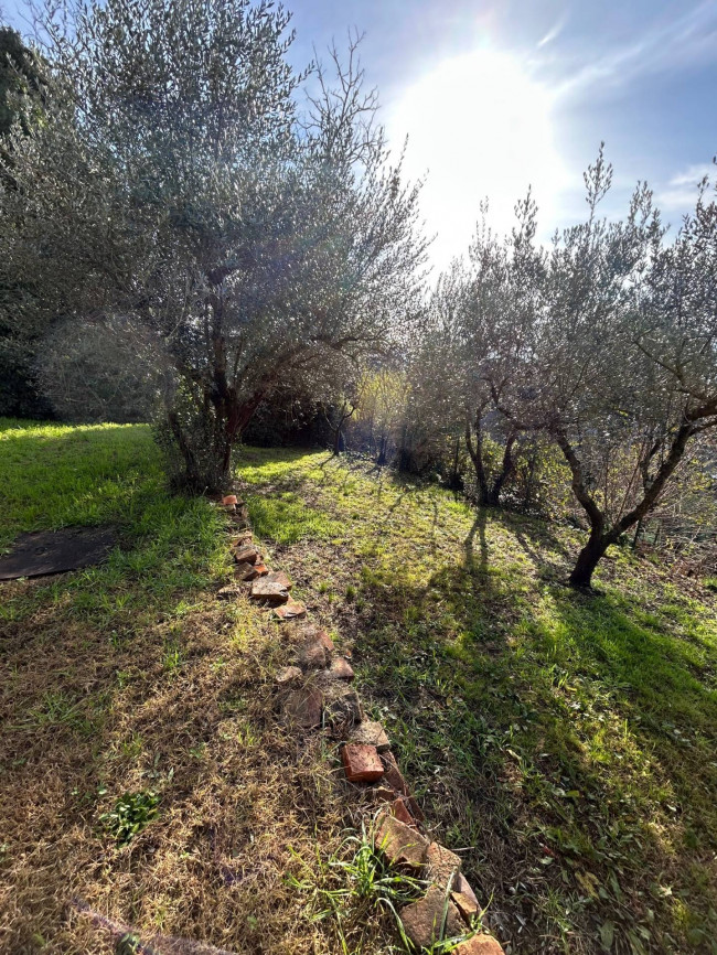 Casa singola in vendita a Todi
