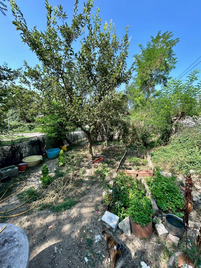 Appartamento in vendita a Acquasparta