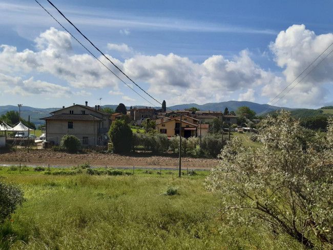 Villette a schiera in vendita a Todi