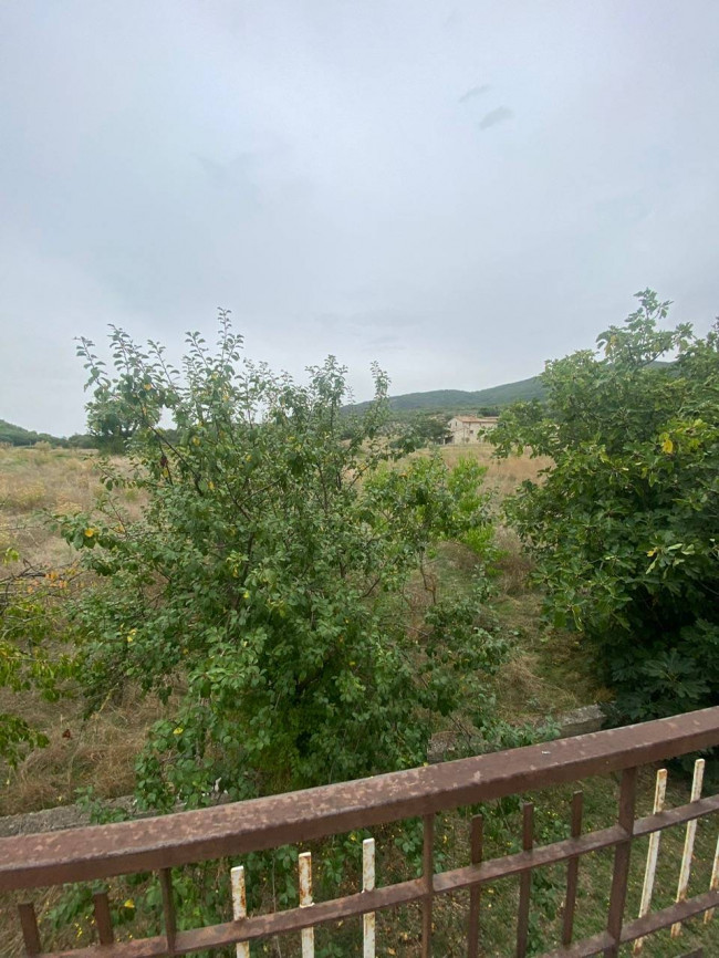 Villetta Bifamiliare in vendita a Massa Martana