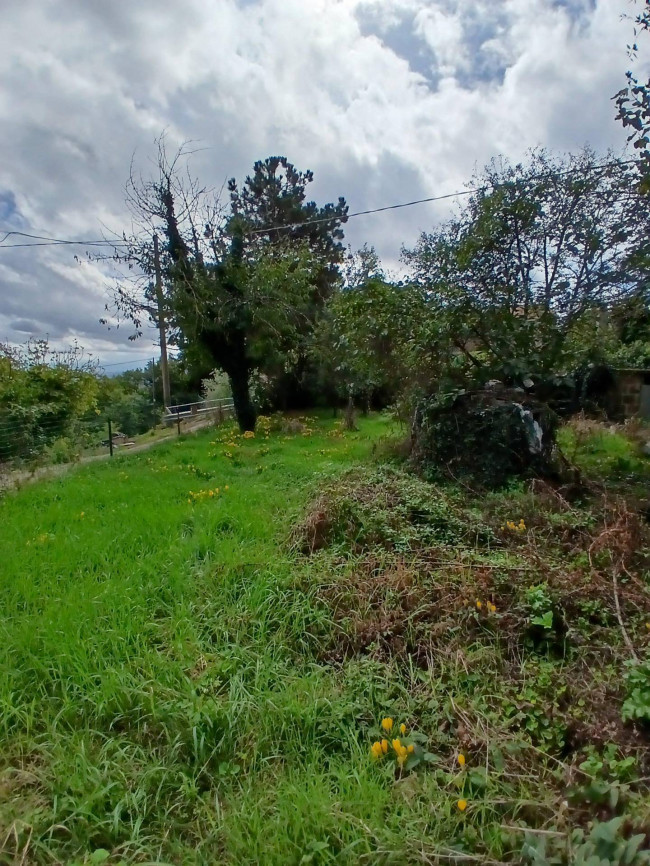 Villetta Bifamiliare in vendita a Todi