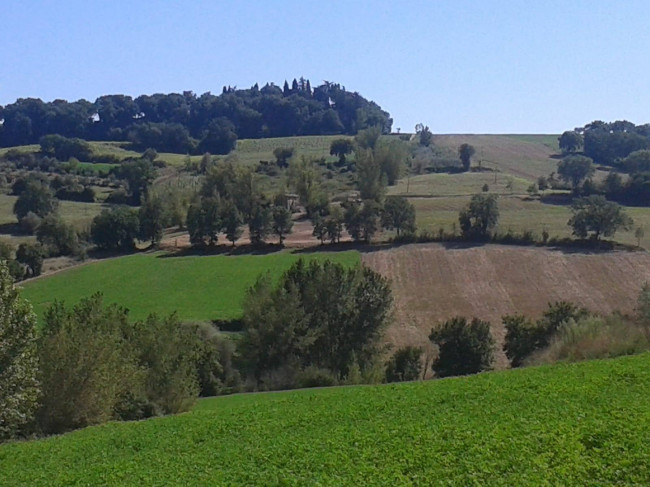 Rustico in vendita a Todi