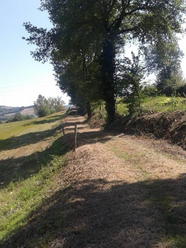 Rustico in vendita a Todi