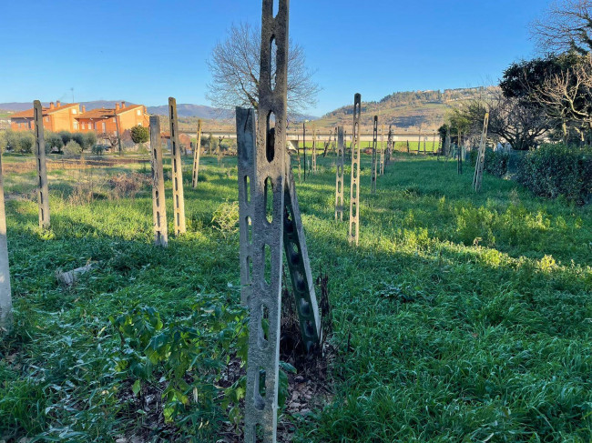 Casale in vendita a Todi