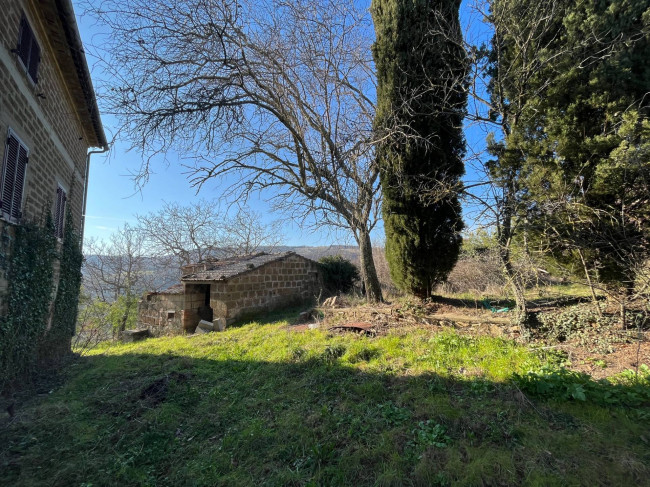 Villette a schiera in vendita a Todi