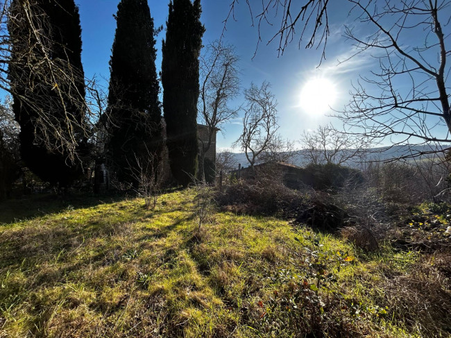 Villette a schiera in vendita a Todi
