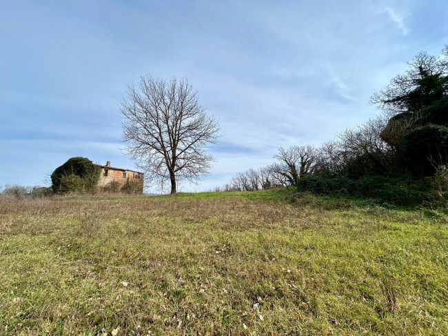 Rustico in vendita a Todi