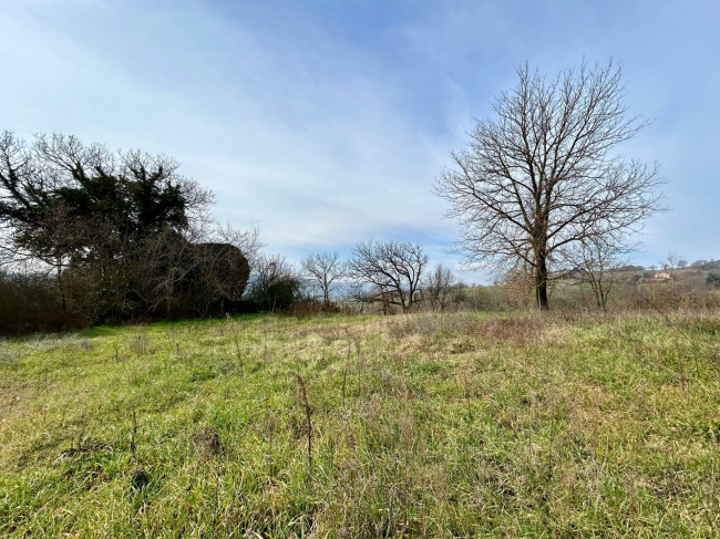 Rustico in vendita a Todi