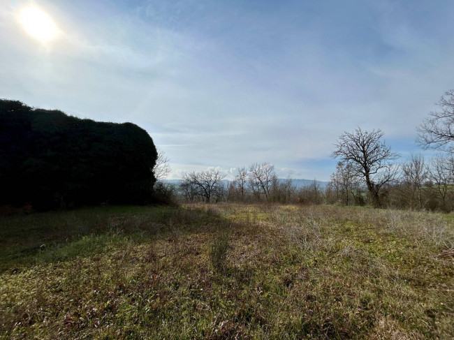 Rustico in vendita a Todi