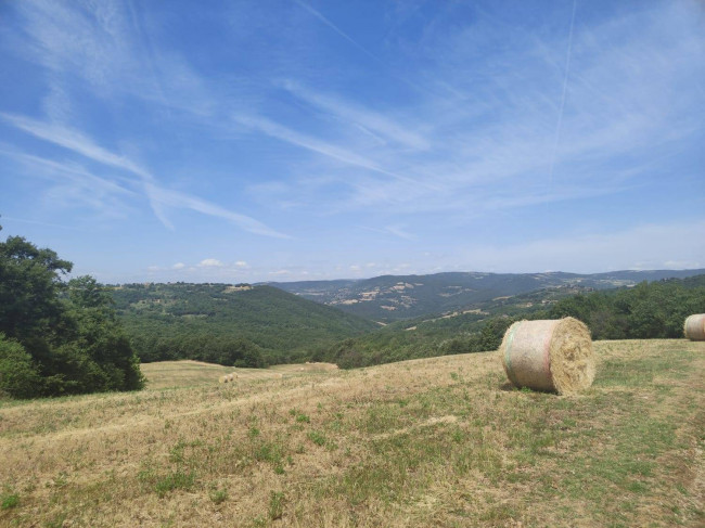 Rustico in vendita a Todi