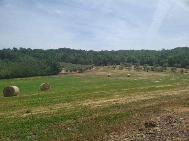 Rustico in vendita a Todi