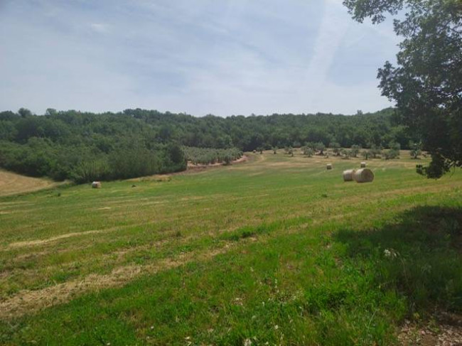 Rustico in vendita a Todi