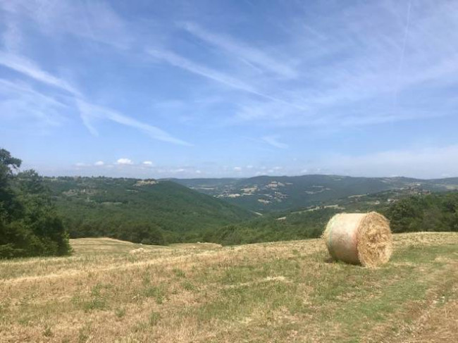 Rustico in vendita a Todi