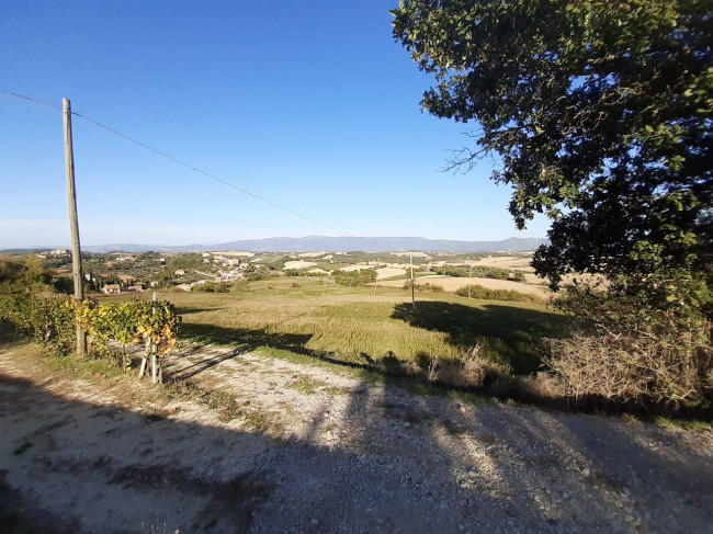 Terreno edificabile in vendita a Todi