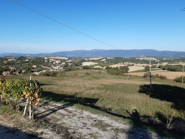 Terreno edificabile in vendita a Todi