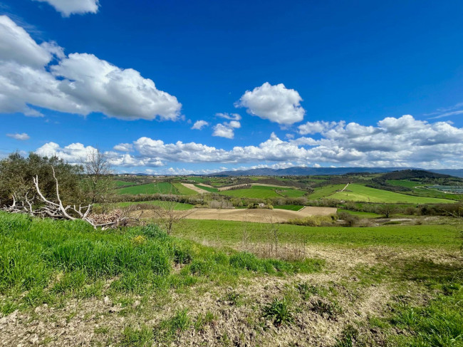 Rustico in vendita a Todi
