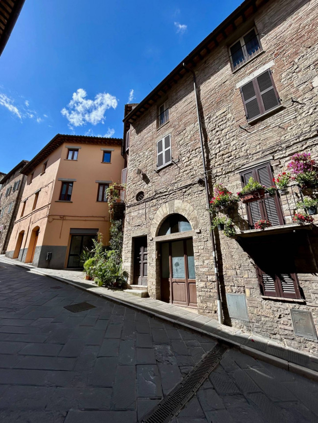 Cielo Terra in vendita a Todi