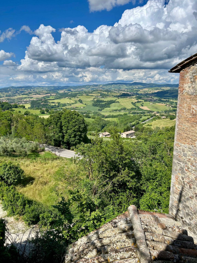 Cielo Terra in vendita a Todi