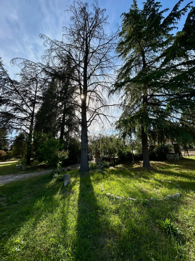 Casa singola in vendita a Fratta Todina