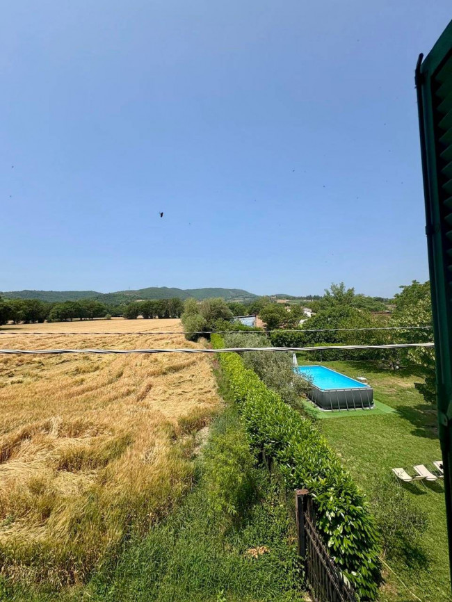 Cielo Terra in vendita a Todi