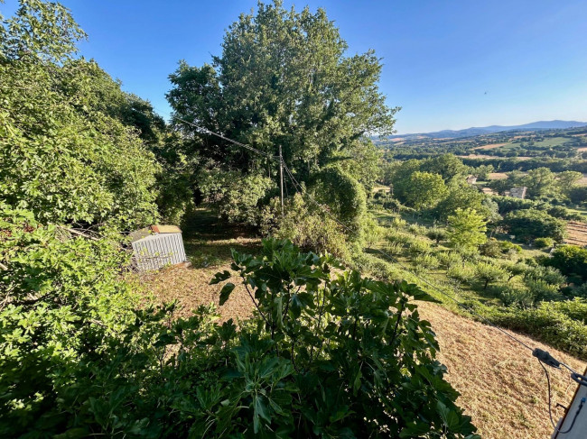 Casa singola in vendita a Massa Martana