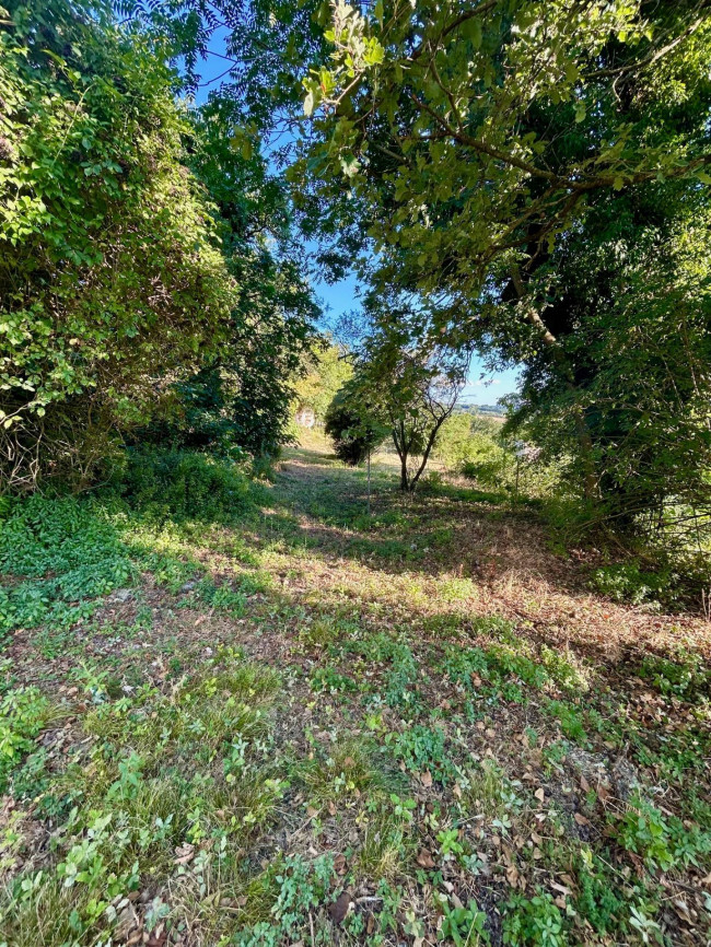 Casa singola in vendita a Massa Martana