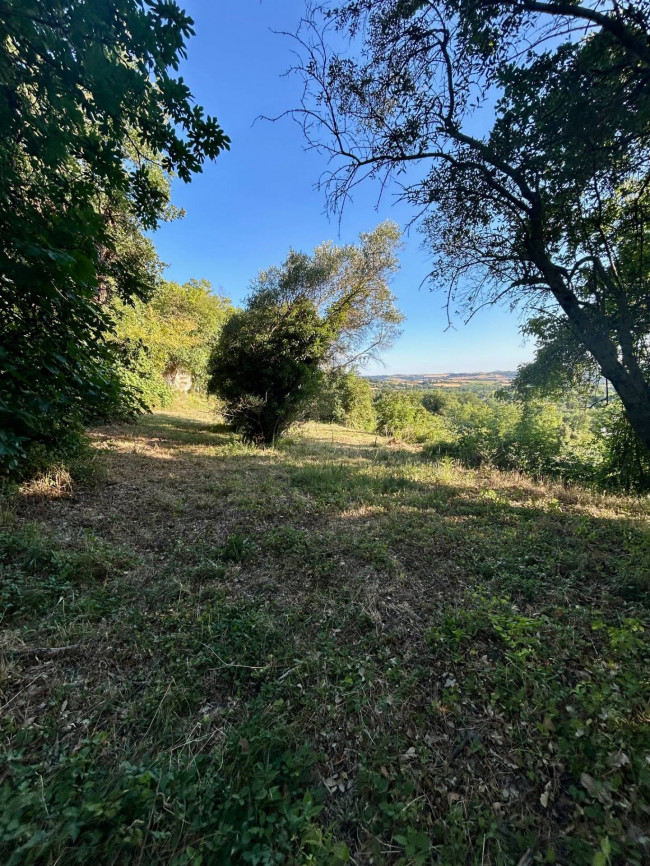 Casa singola in vendita a Massa Martana