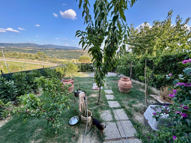 Villette a schiera in vendita a Todi