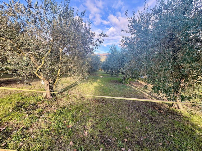 Casa singola in vendita a Todi