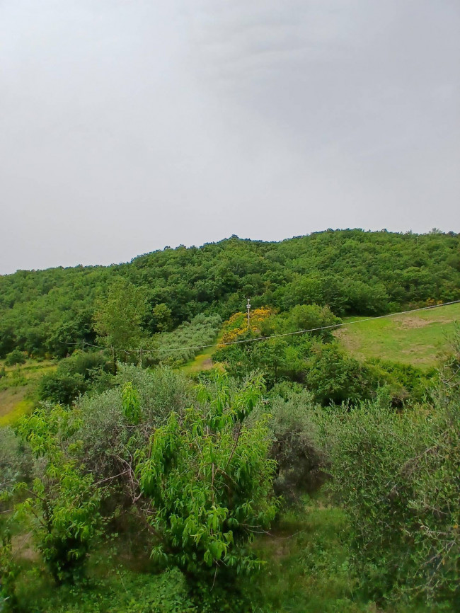 Villetta Bifamiliare in vendita a Todi